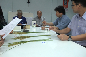 ナコンサワンで日本米の栽培で驚き！